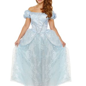 Lost Shoe Princess (One Size) Adult Fancy Dress Costume